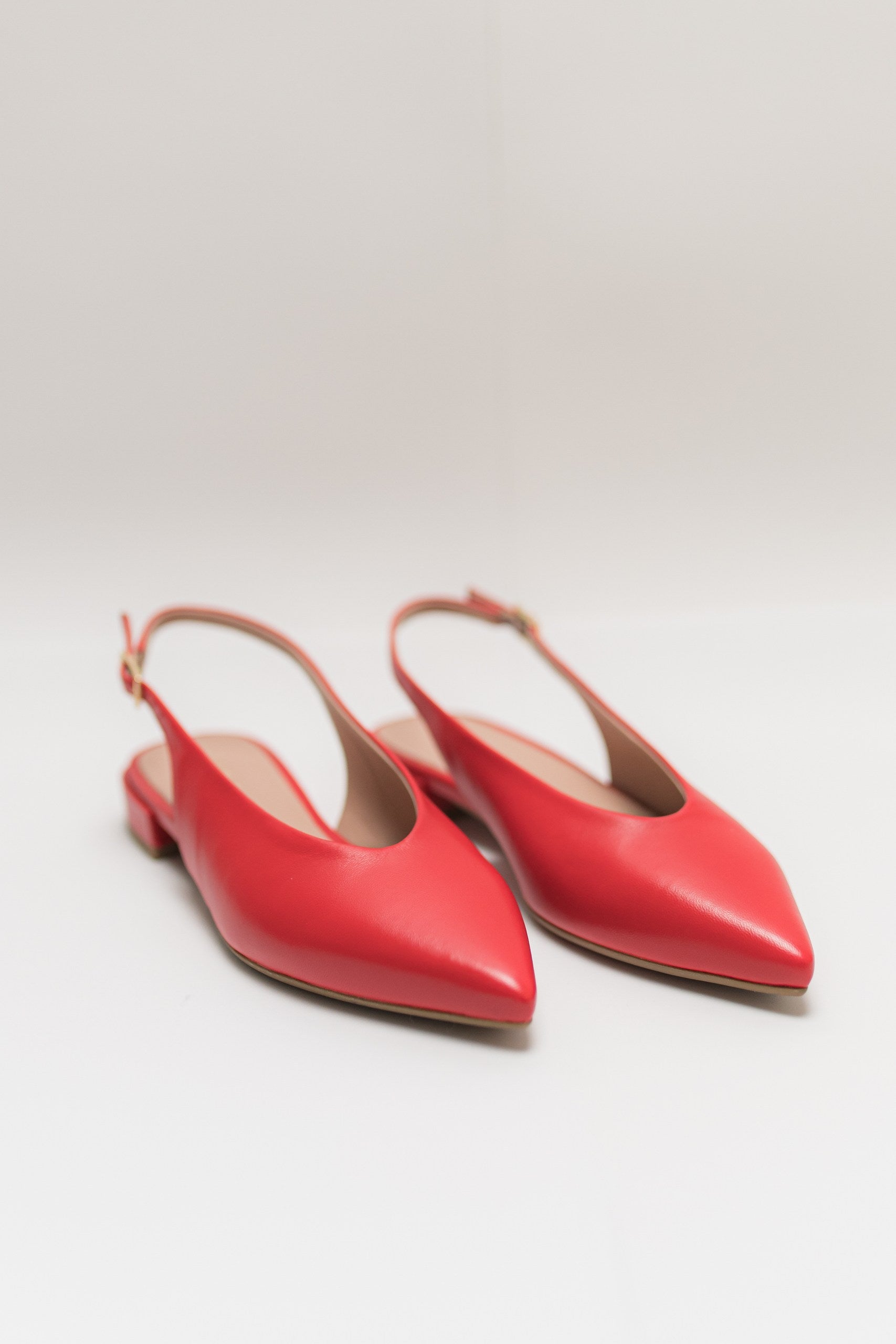 Sandalo - Stelio Malori