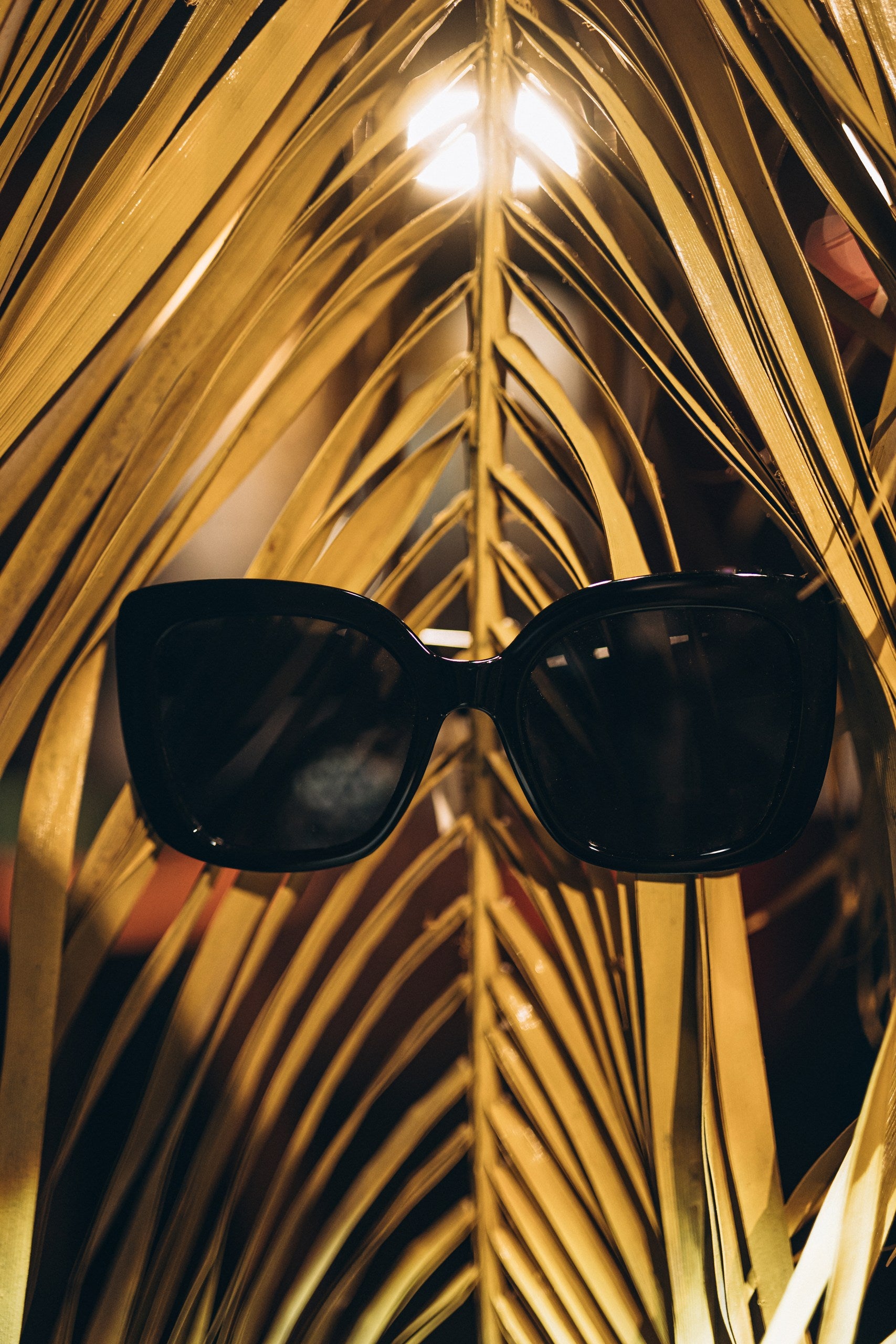 Occhiali da Sole - Ialiona Single Su - Ichi